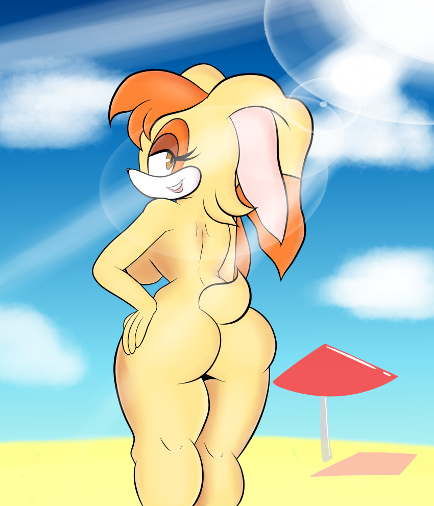 Vanilla The Rabbit (Sonic (Series)) Rule 34 Image