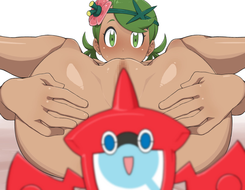 Mallow (Pokemon) Rule 34 Image