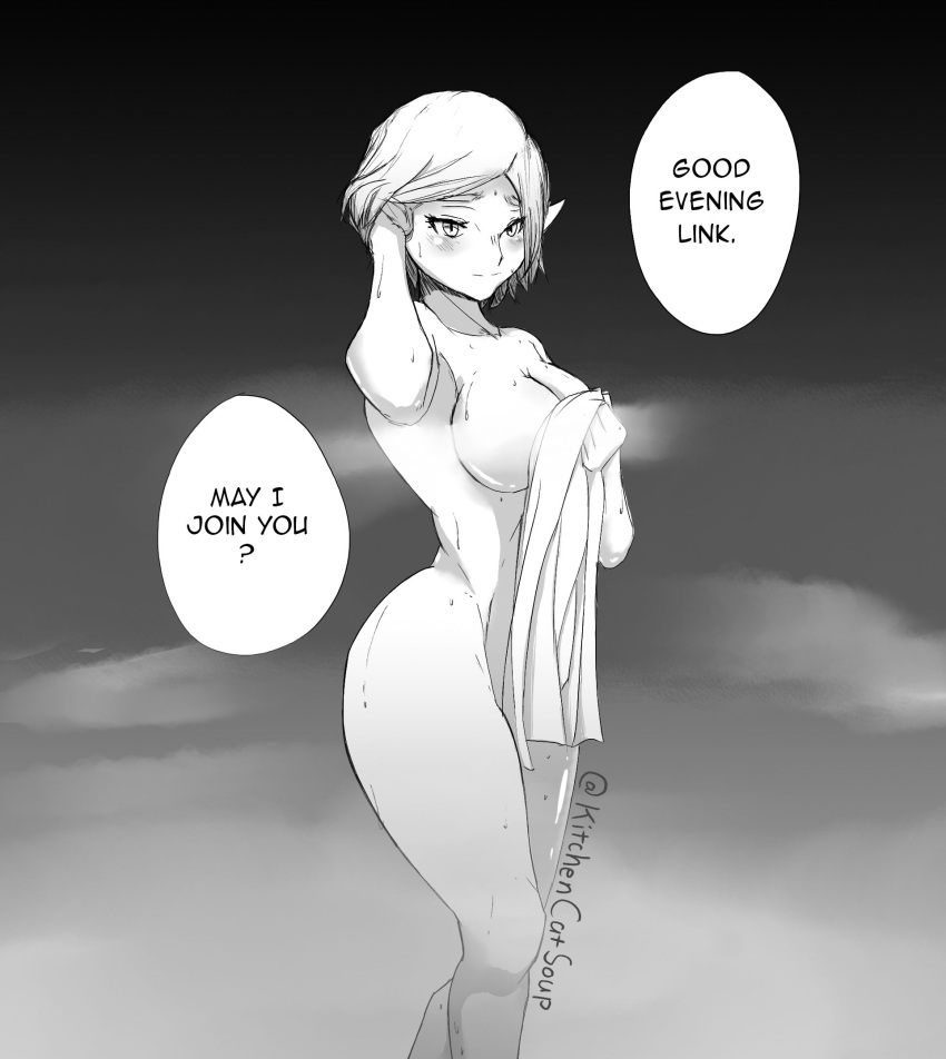 Princess Zelda (Nintendo) Rule 34 Image