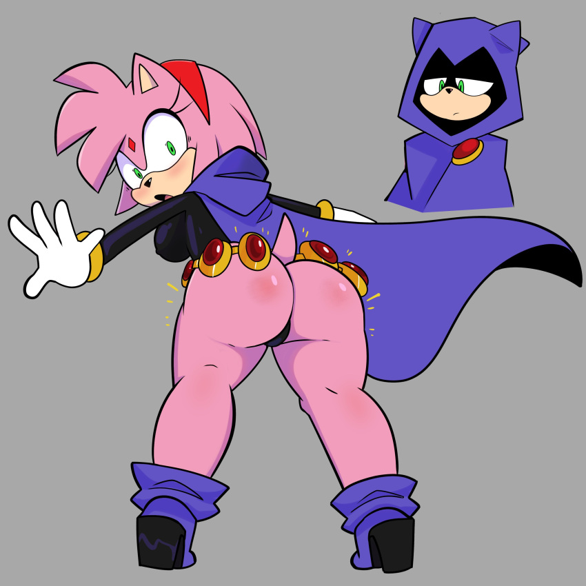 Amy Rose (Dc) Rule 34 Image