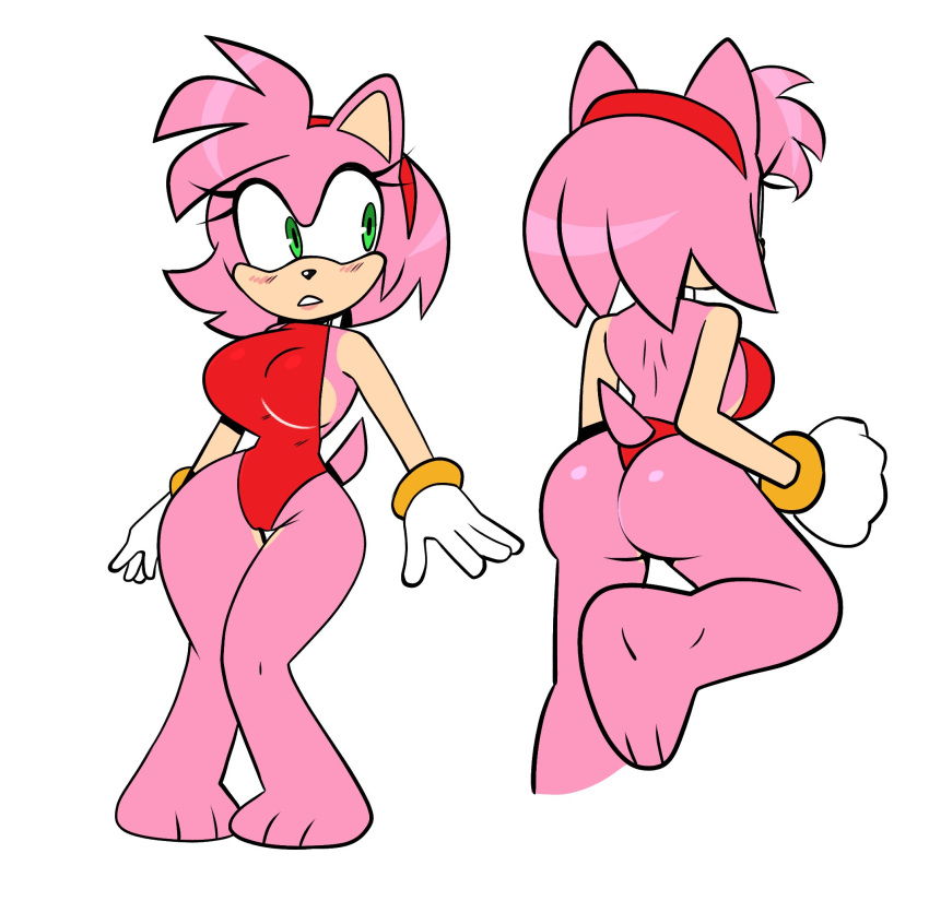 Amy Rose (Sonic (Series)) Rule 34 Image