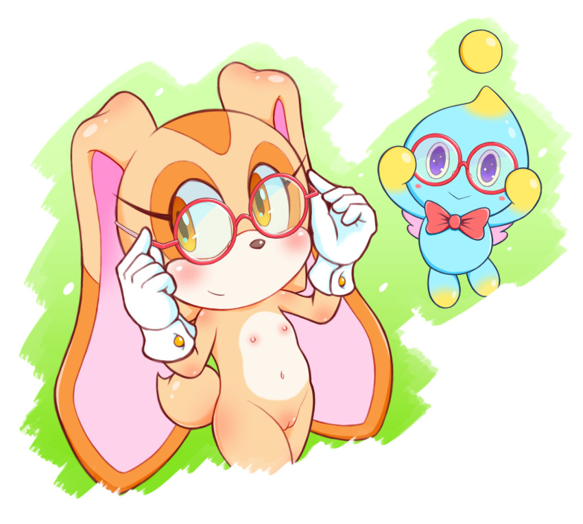 Chao (Sonic) Rule 34 Image