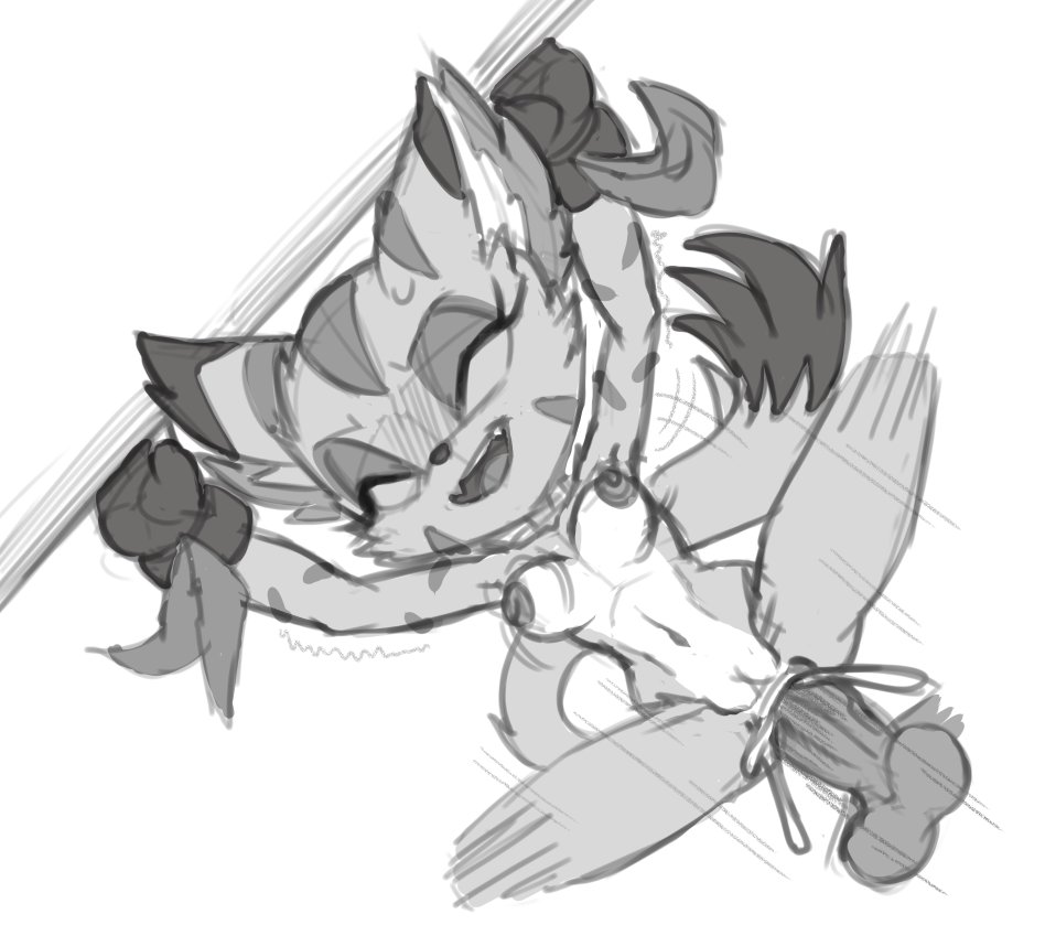 Carol Tea (Freedom Planet) Rule 34 Image