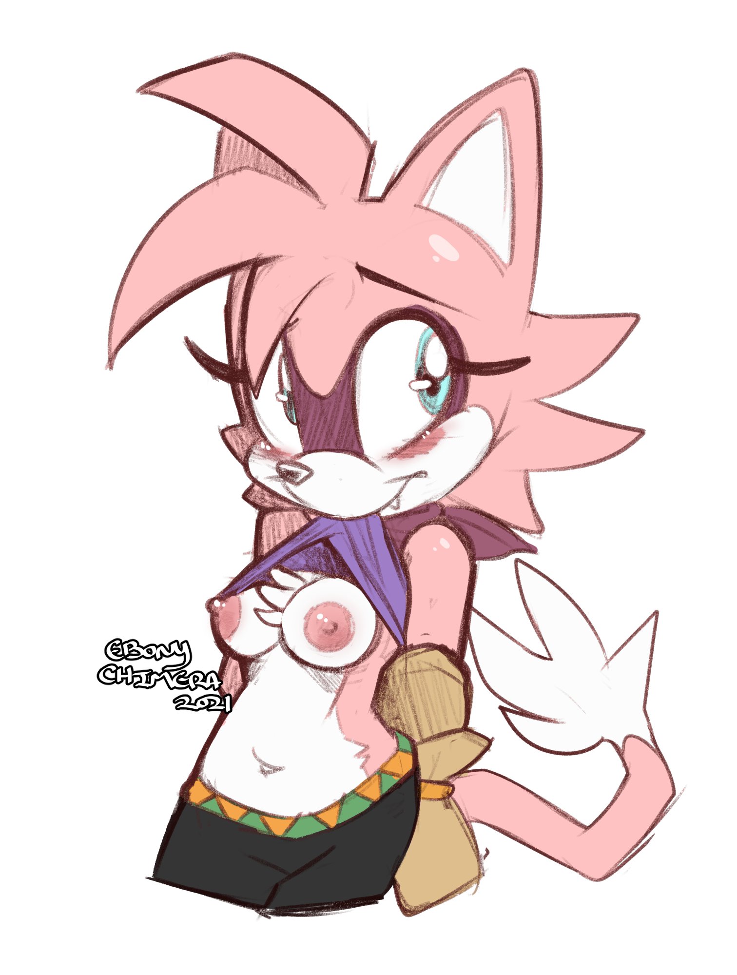 Sonic (Series) Rule 34 Image