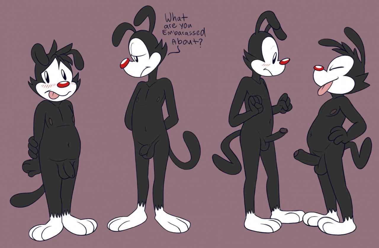 Wakko Warner (Animaniacs) Rule 34 Image