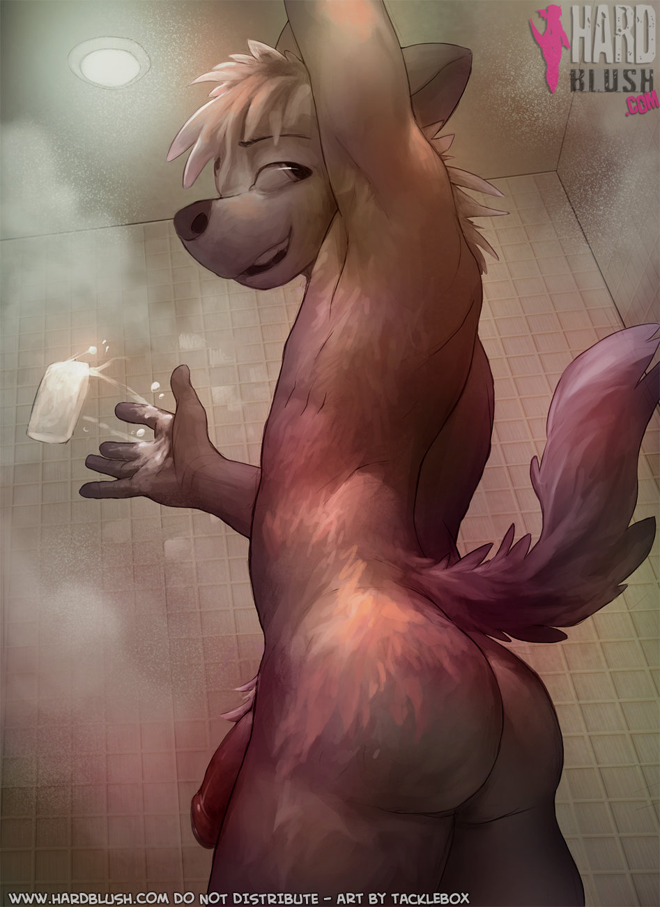 Anthro Rule 34 Image