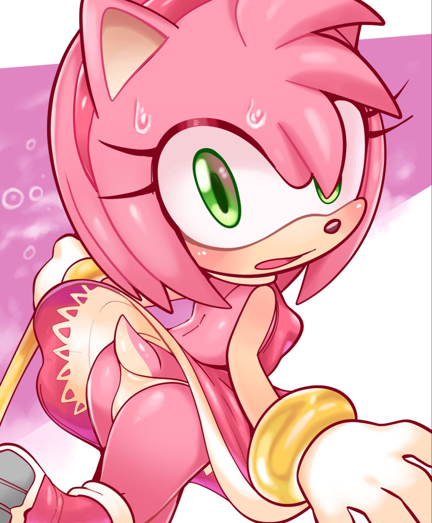 Amy Rose (Sega) Rule 34 Image
