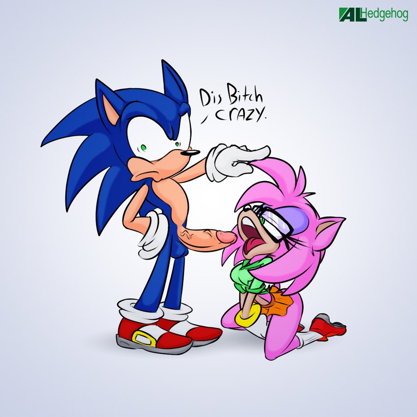 Amy Rose (Sega) Rule 34 Image