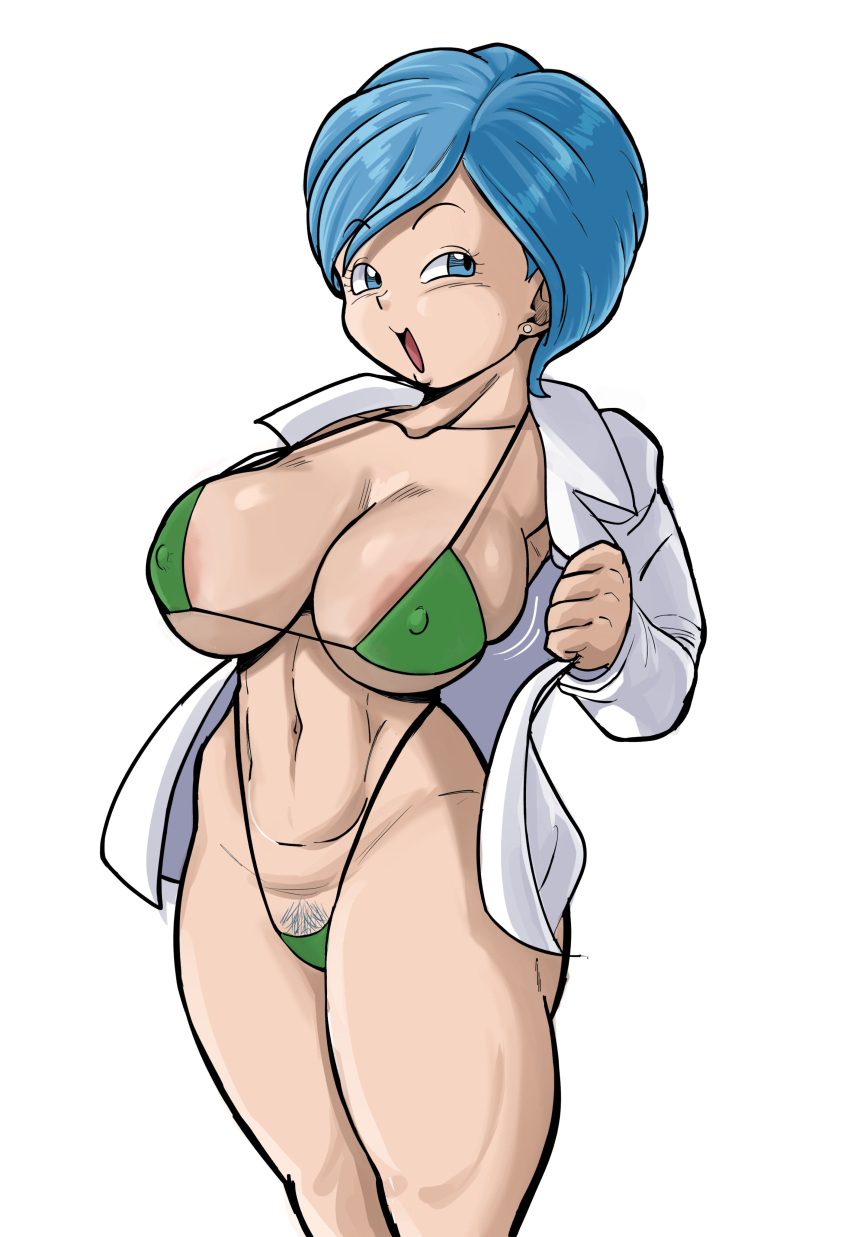 Bulma Briefs (Dragon Ball) Rule 34 Image