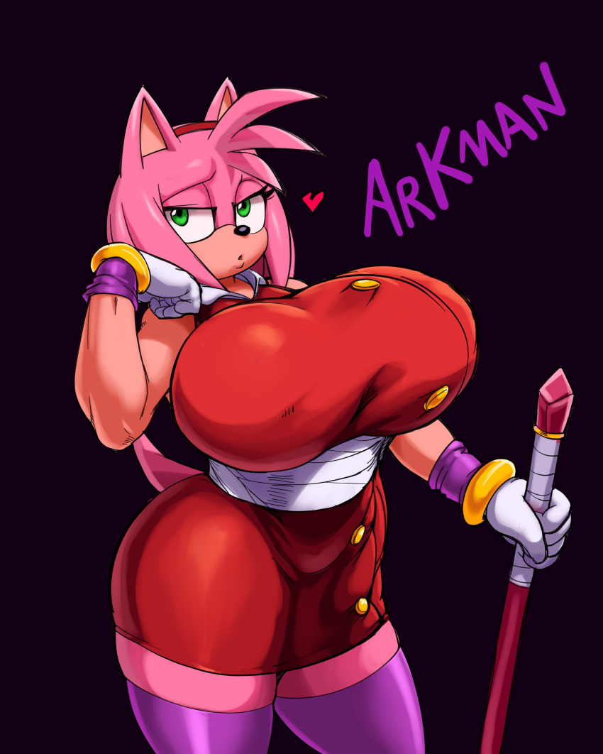 Amy Rose (Sonic (Series)) Rule 34 Image