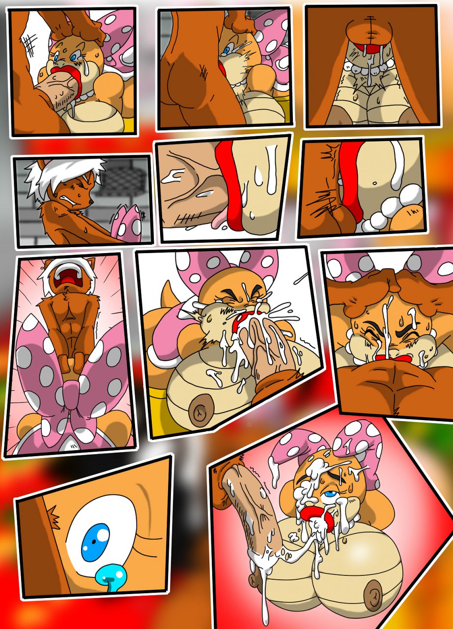 Shell (Mario (Series)) Rule 34 Image
