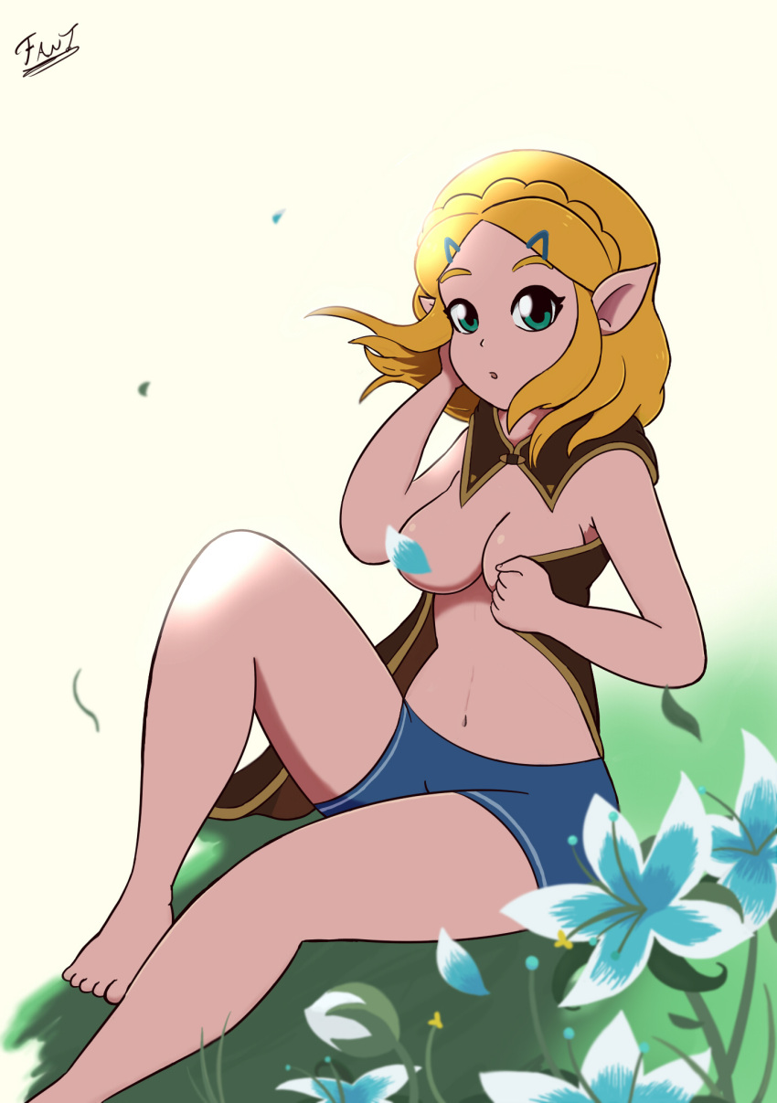 Princess Zelda (Breath Of The Wild) Rule 34 Image