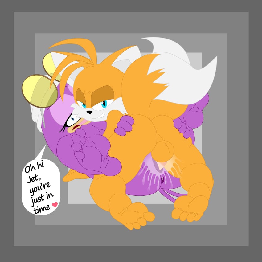 Sonic (Series) Rule 34 Image