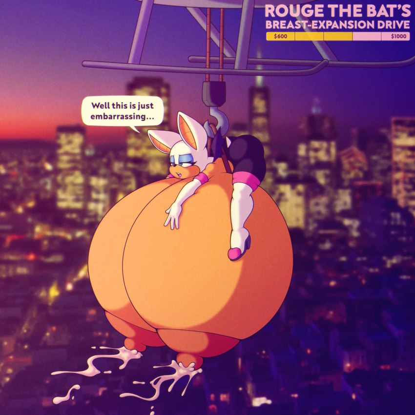Rouge The Bat (Sega) Rule 34 Image