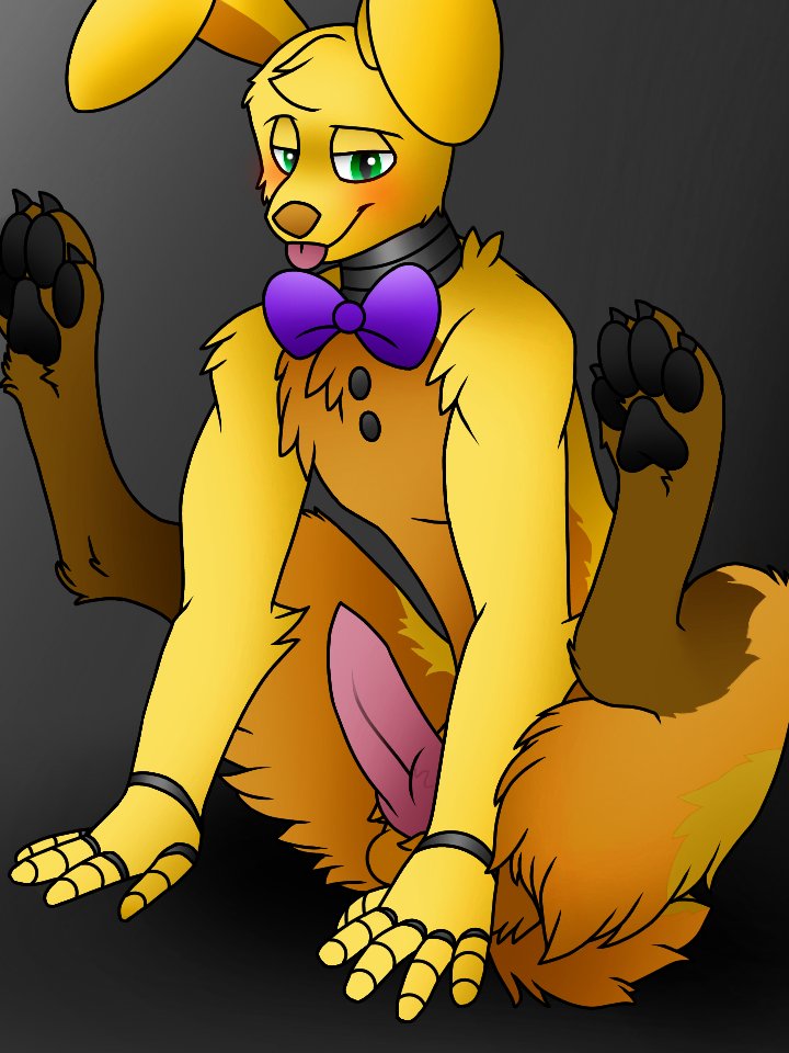 Spring Bonnie (Five Nights At Freddy'S) Rule 34 Image