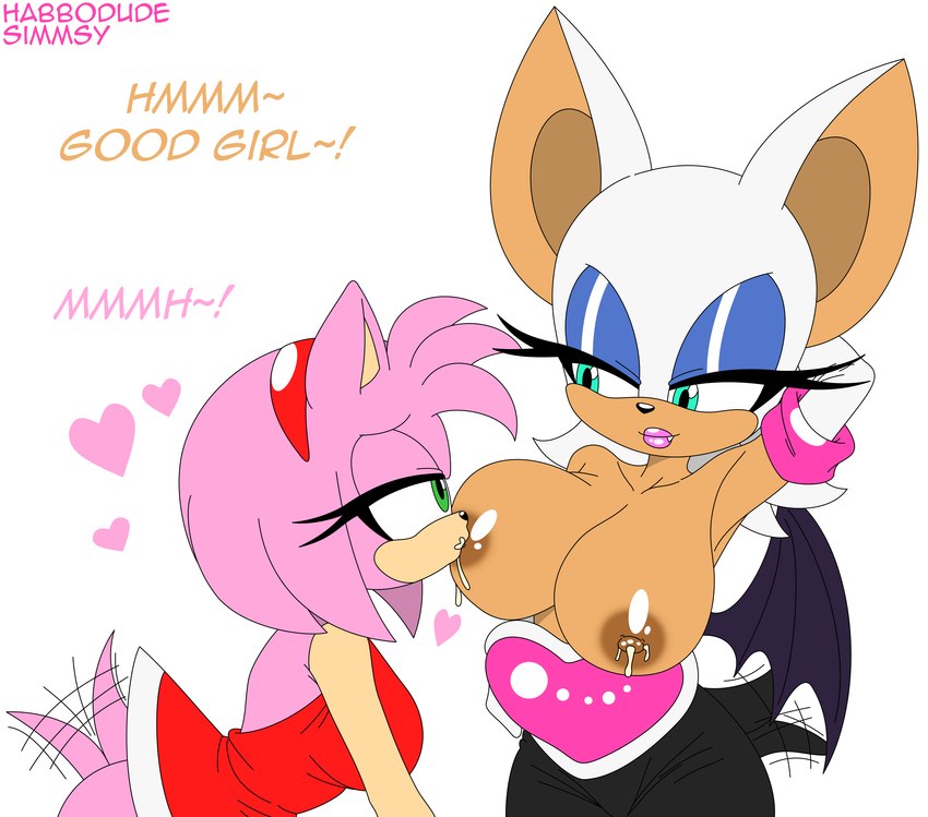 Amy Rose (Sega) Rule 34 Image