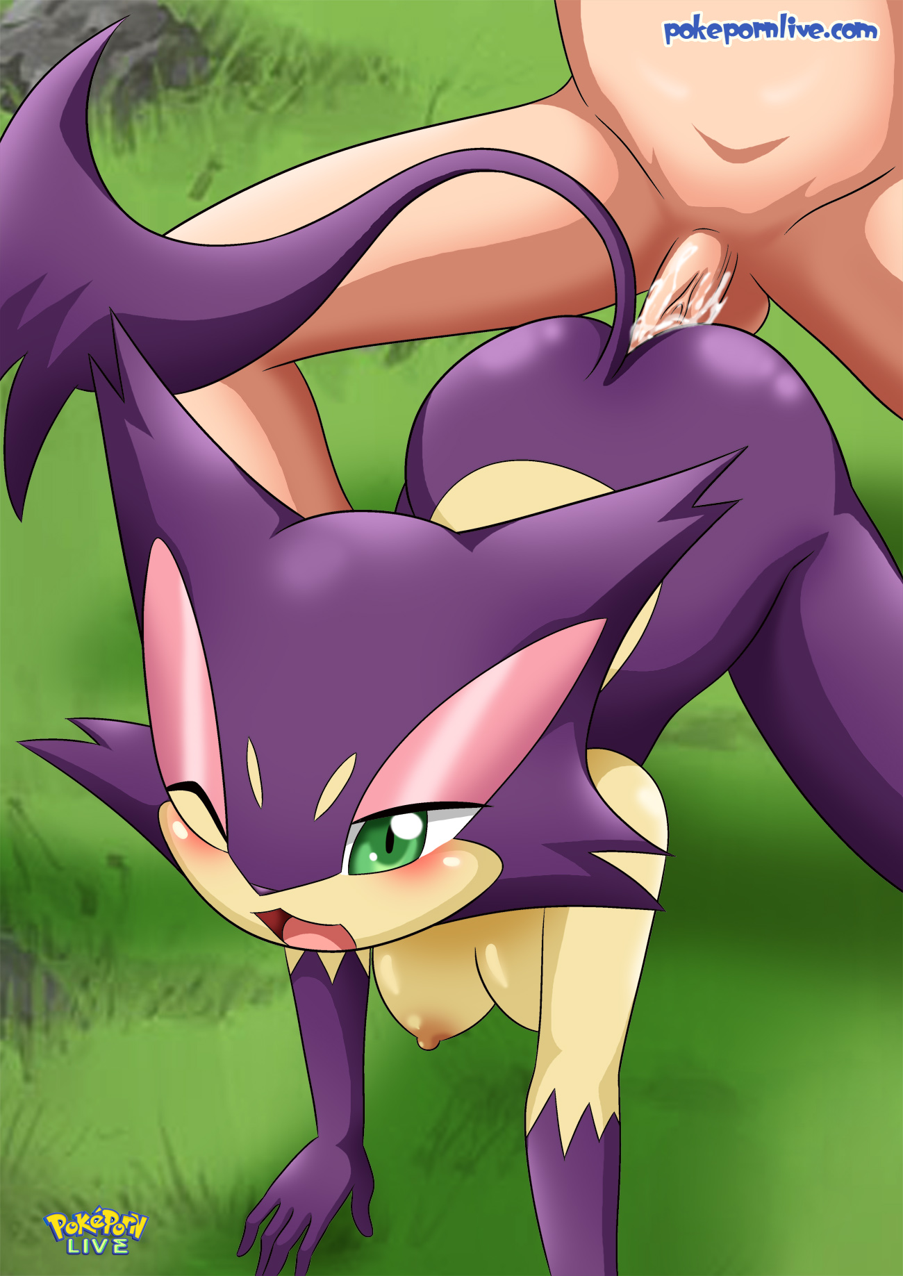 PokÉMon (Species) Rule 34 Image