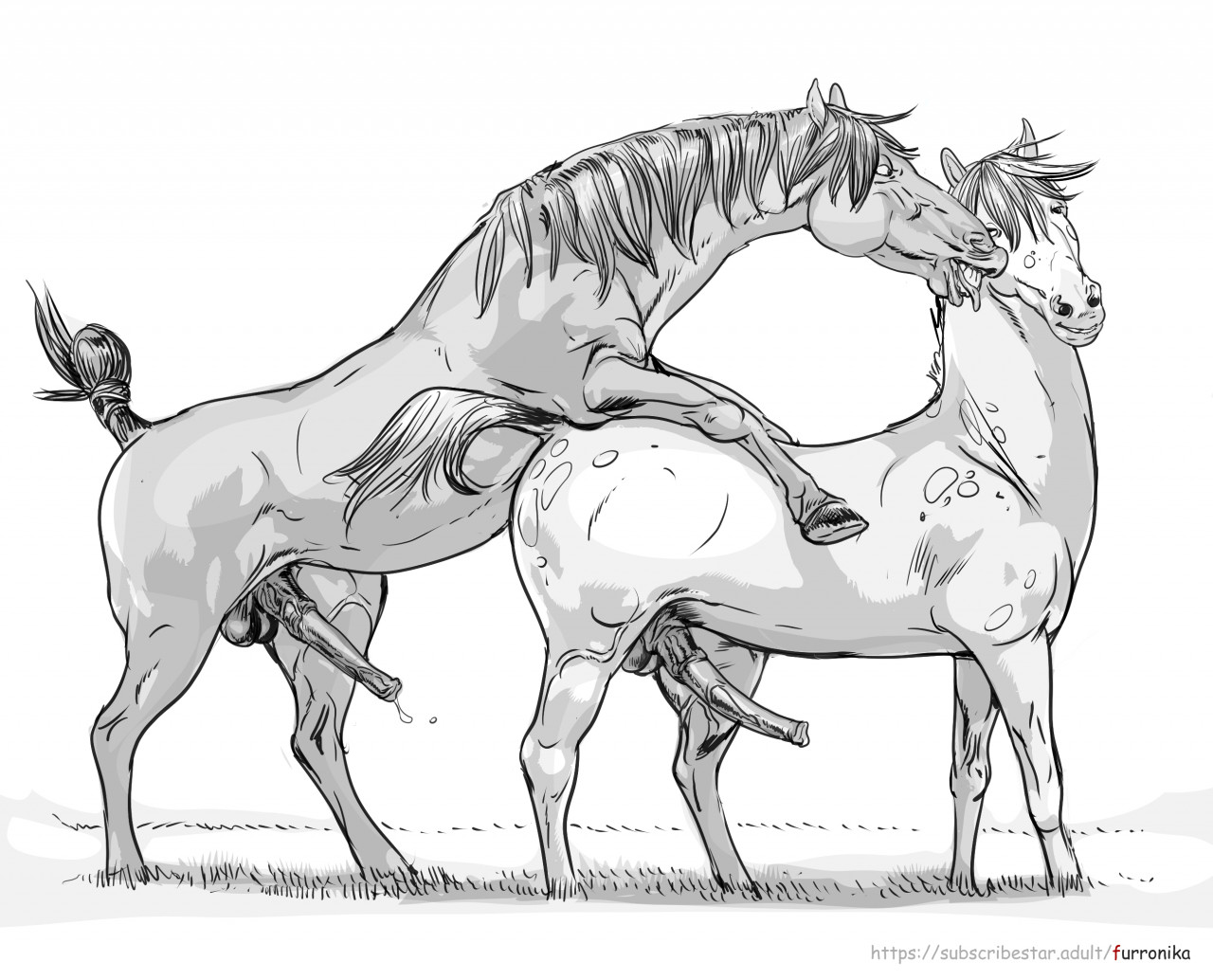 Animal Genitalia Rule 34 Image