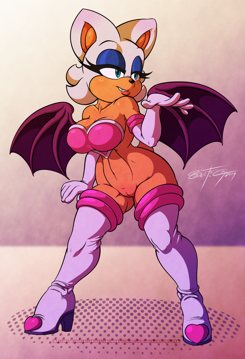 Rouge The Bat (Sega) Rule 34 Image