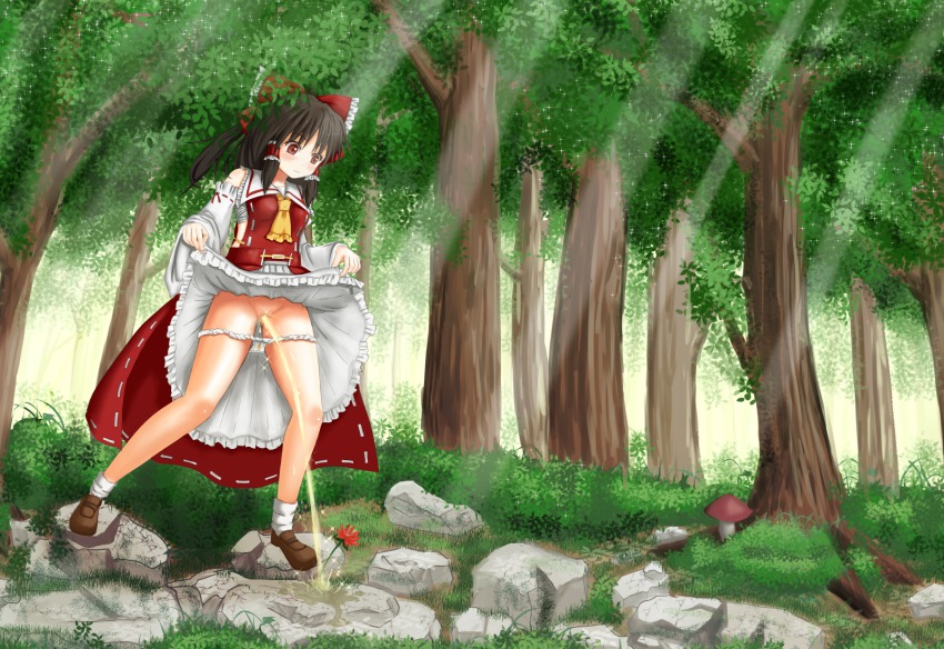 Reimu Hakurei (Touhou) Rule 34 Image