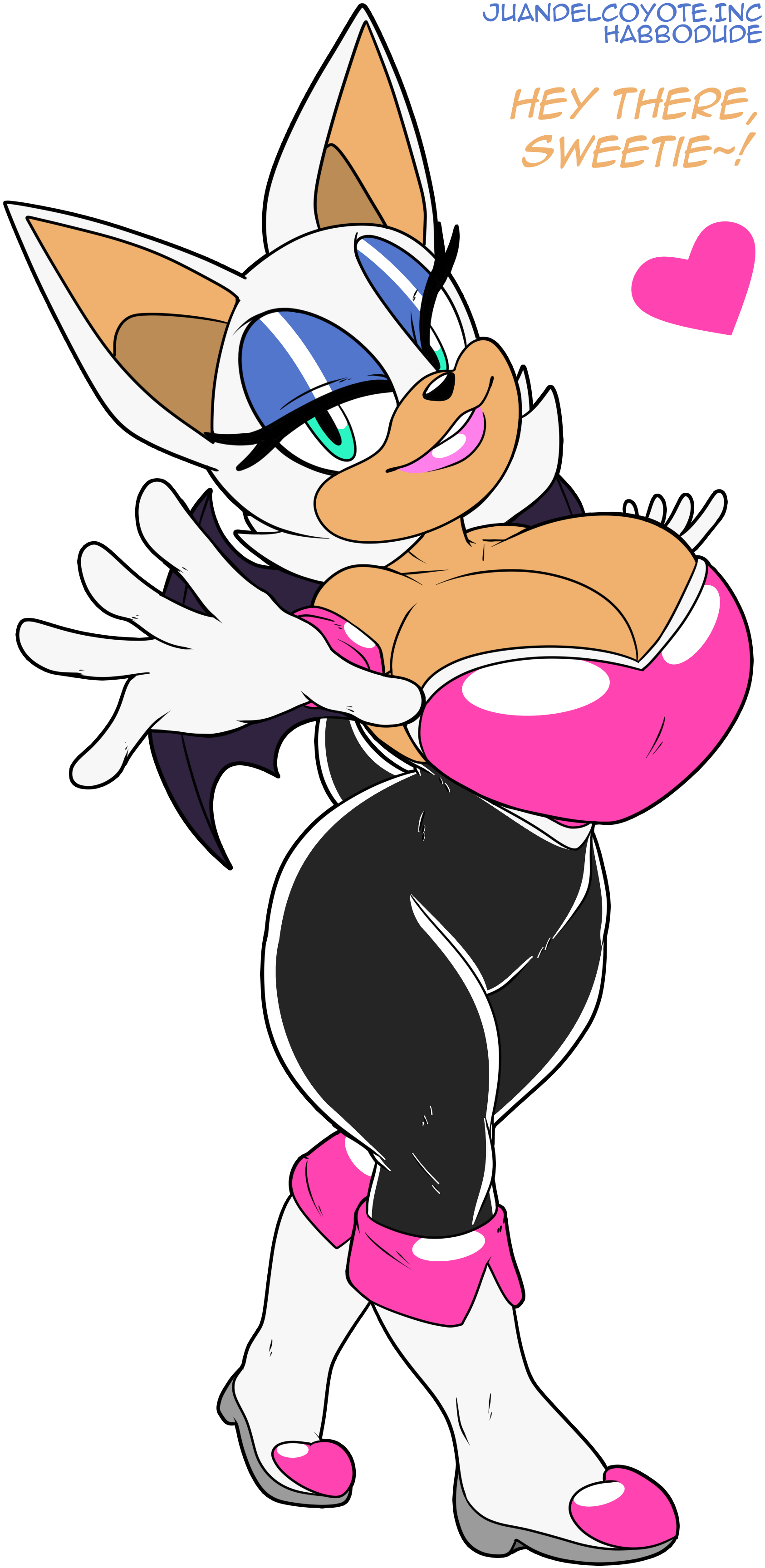 Rouge The Bat (Sega) Rule 34 Image