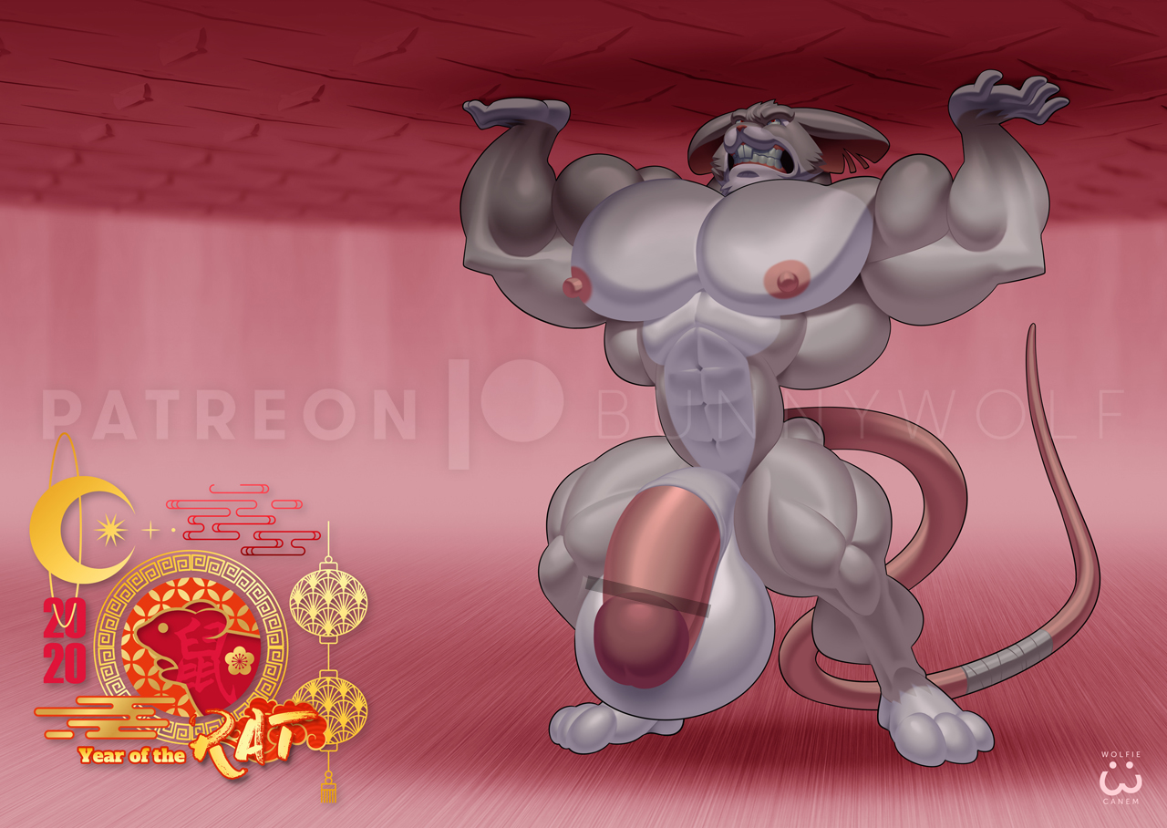 Abs Rule 34 Image