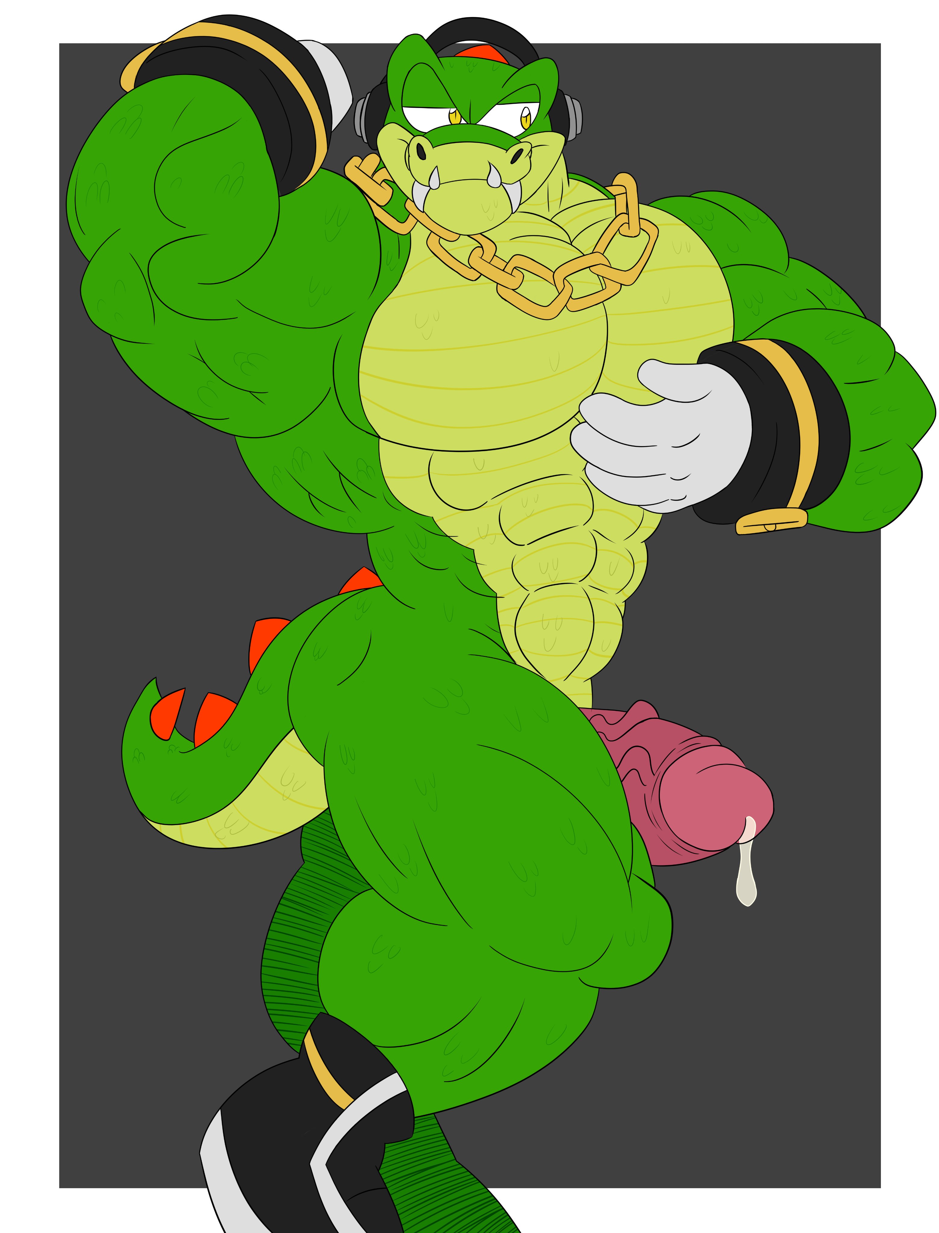 Vector The Crocodile (Sega) Rule 34 Image