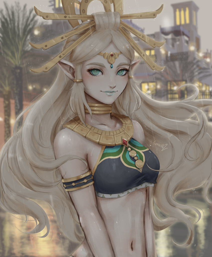 Princess Zelda (Nintendo) Rule 34 Image