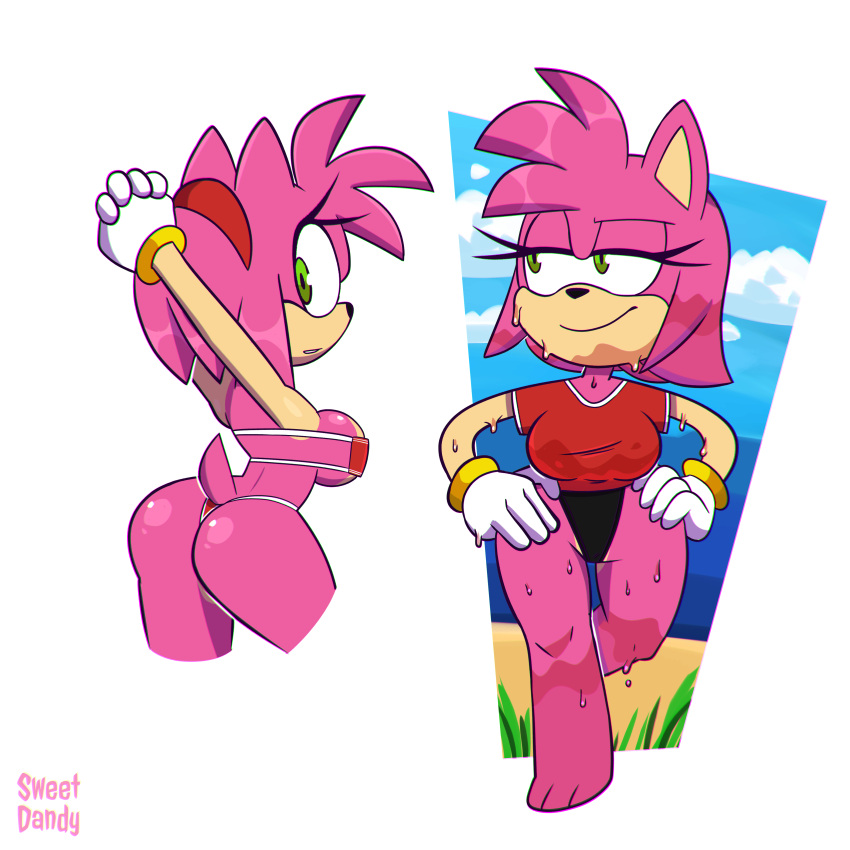 Amy Rose (Sega) Rule 34 Image