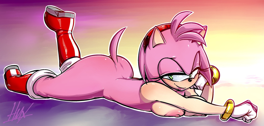 Amy Rose (Sonic (Series)) Rule 34 Image