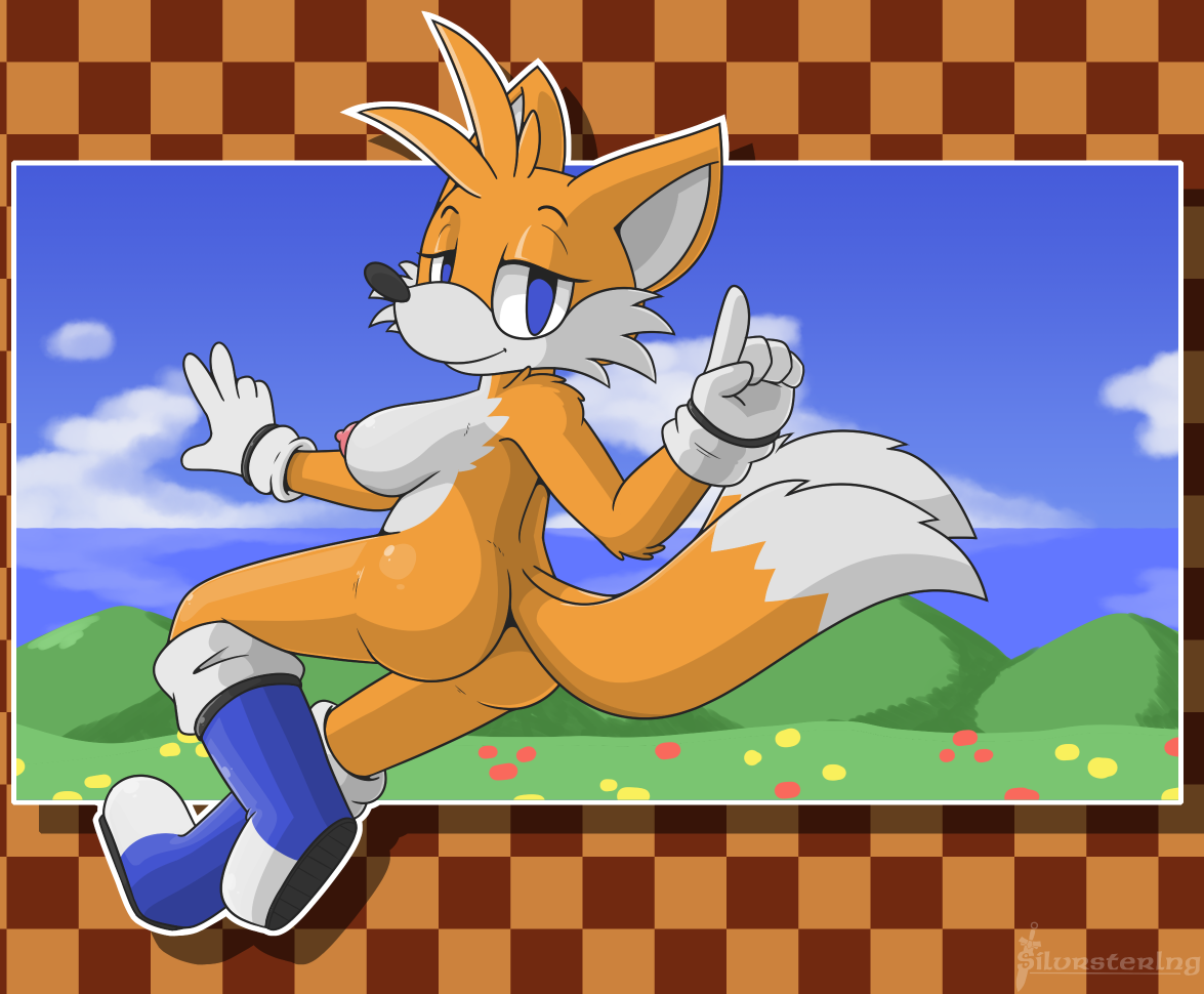 Tails The Fox (Sega) Rule 34 Image