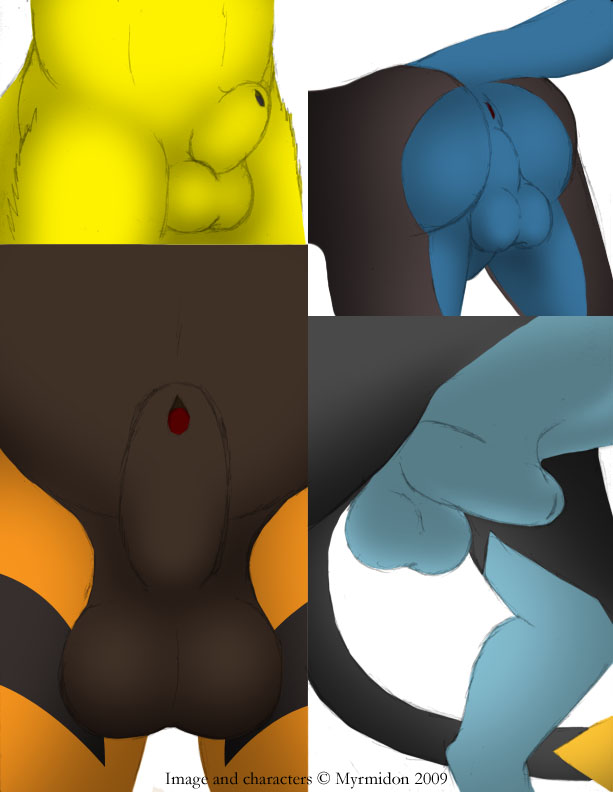 Arcanine (Nintendo) Rule 34 Image
