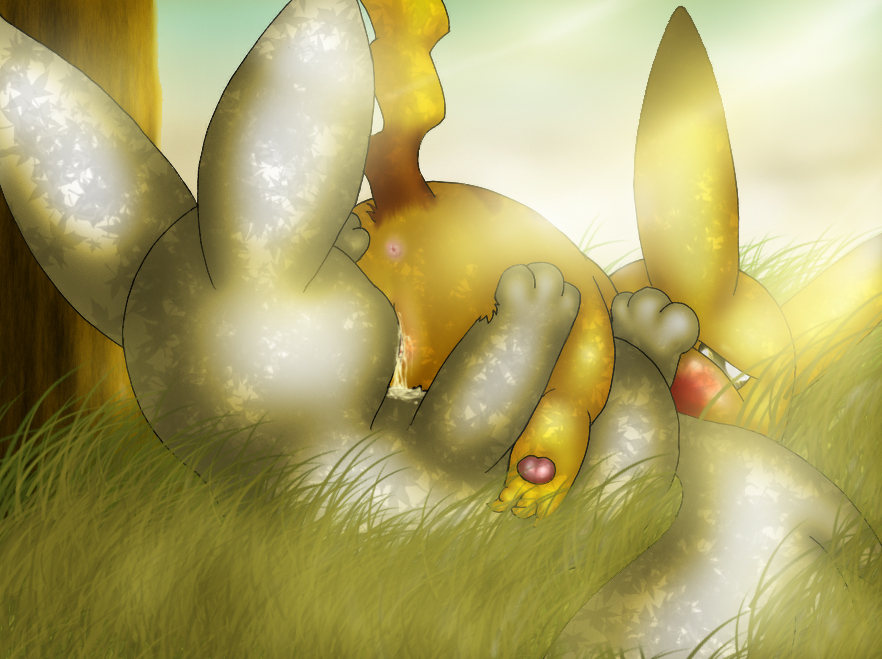 Minccino (Lloyd) Rule 34 Image