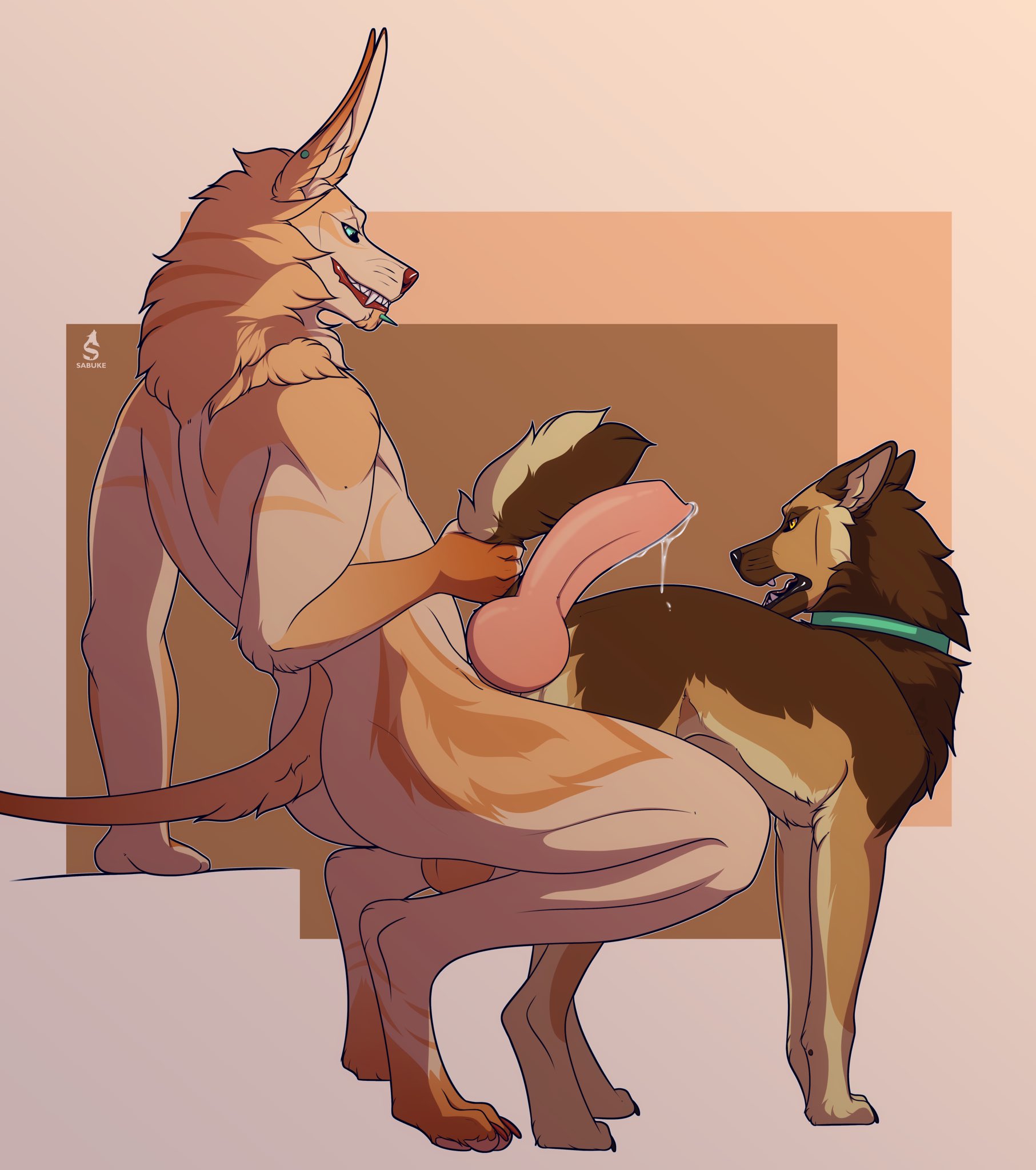 Animal Genitalia Rule 34 Image