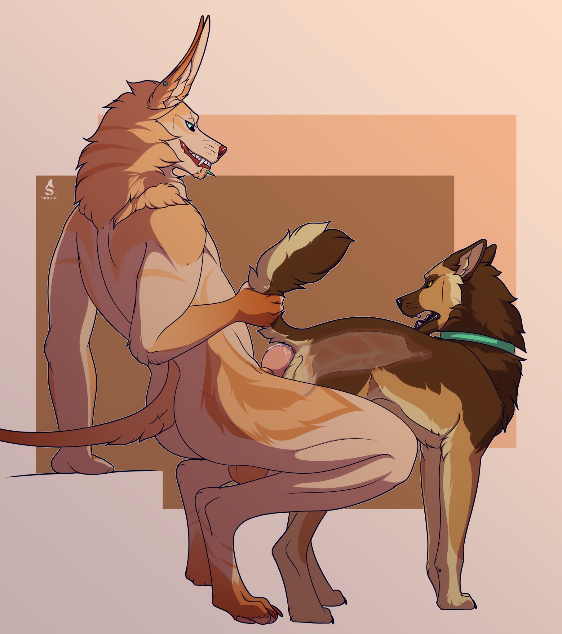 Anthro Rule 34 Image