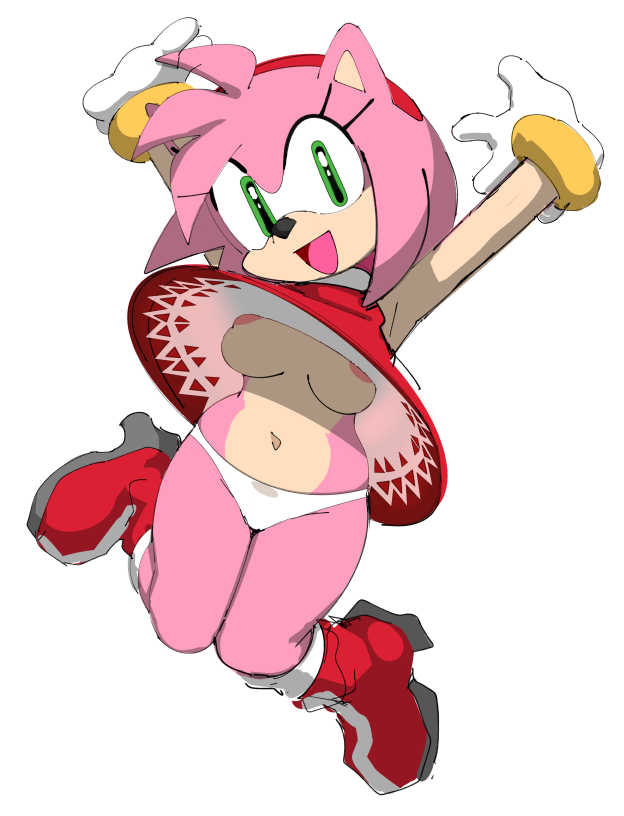 Amy Rose (Sonic (Series)) Rule 34 Image