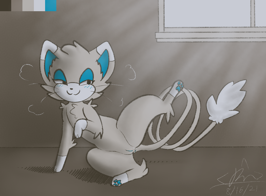 Glameow (Nintendo) Rule 34 Image