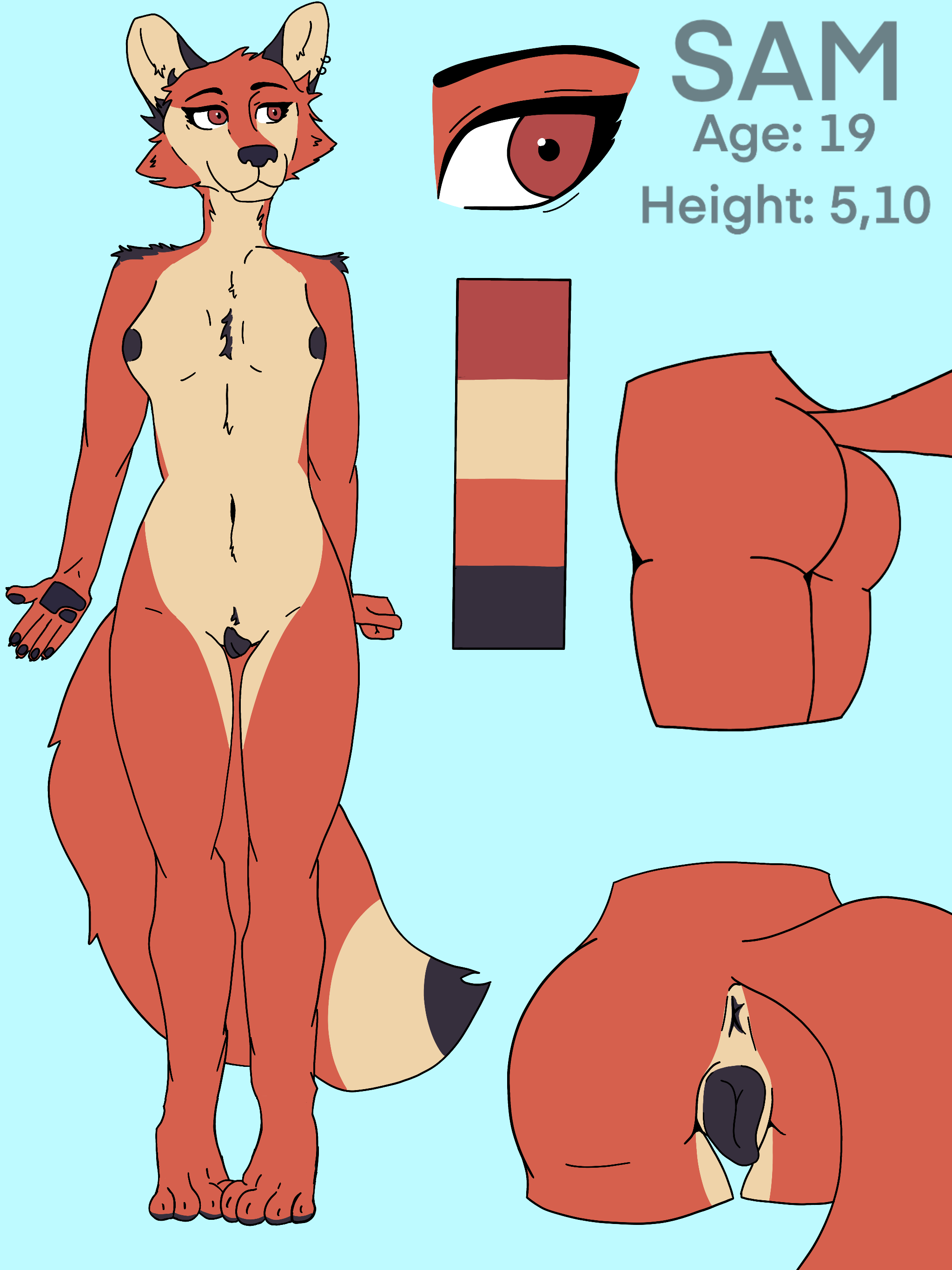 Sam (Auroraki) Rule 34 Image