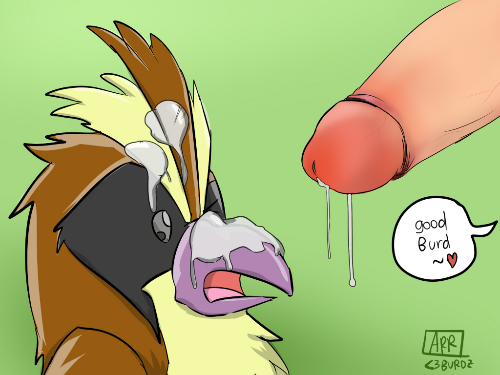 Pidgey (Nintendo) Rule 34 Image