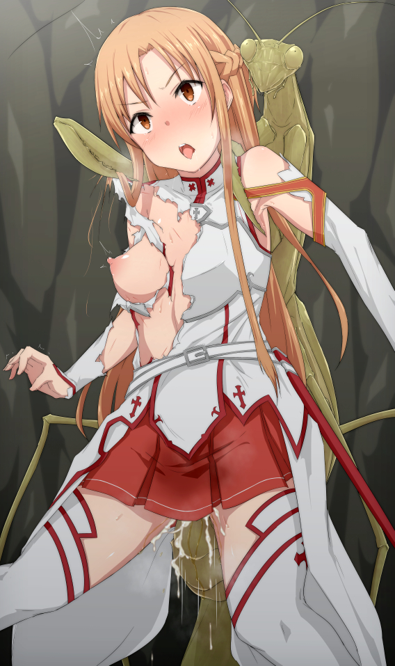 Asuna (Sao) Rule 34 Image
