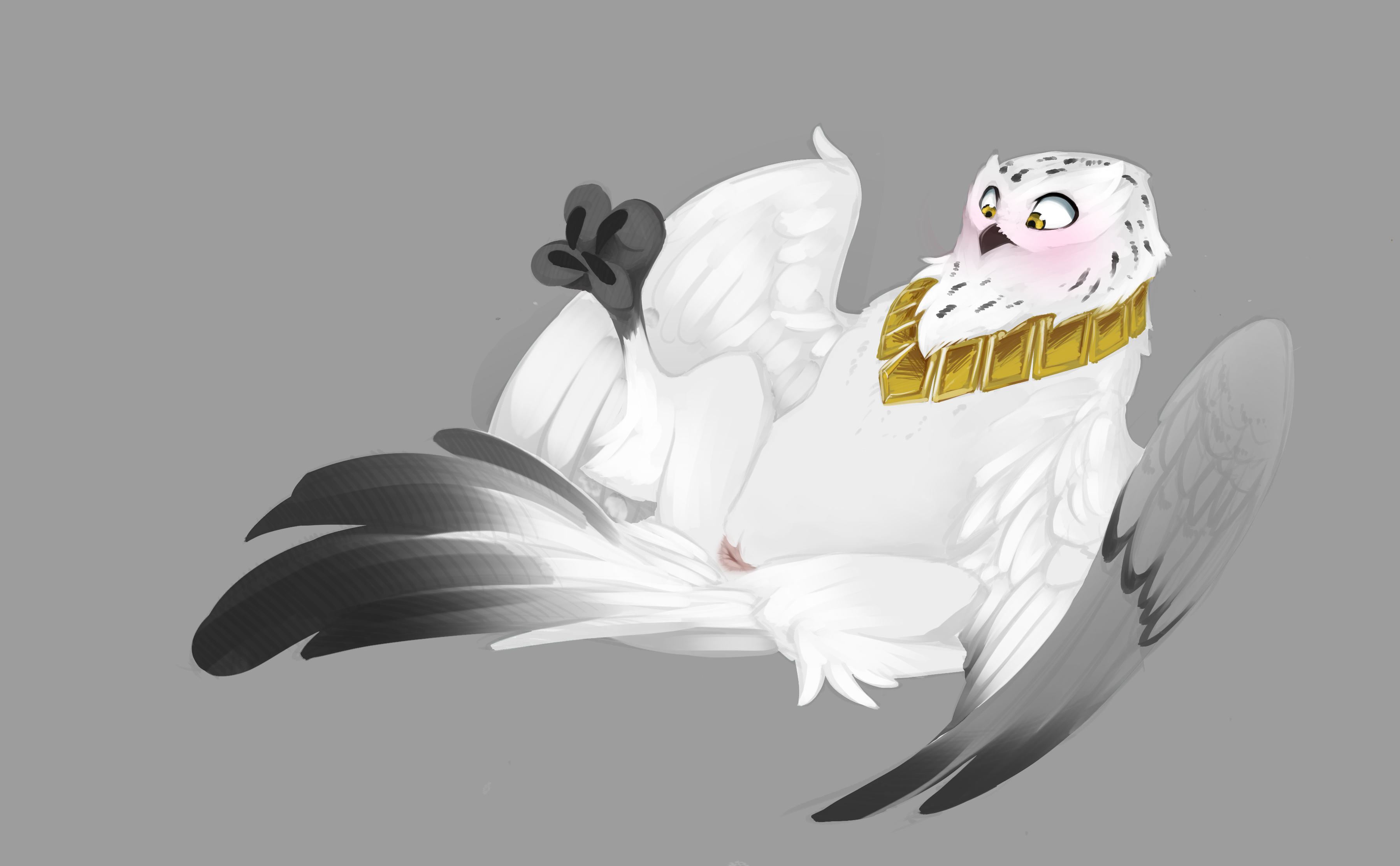 Vilver (Hooter) Rule 34 Image