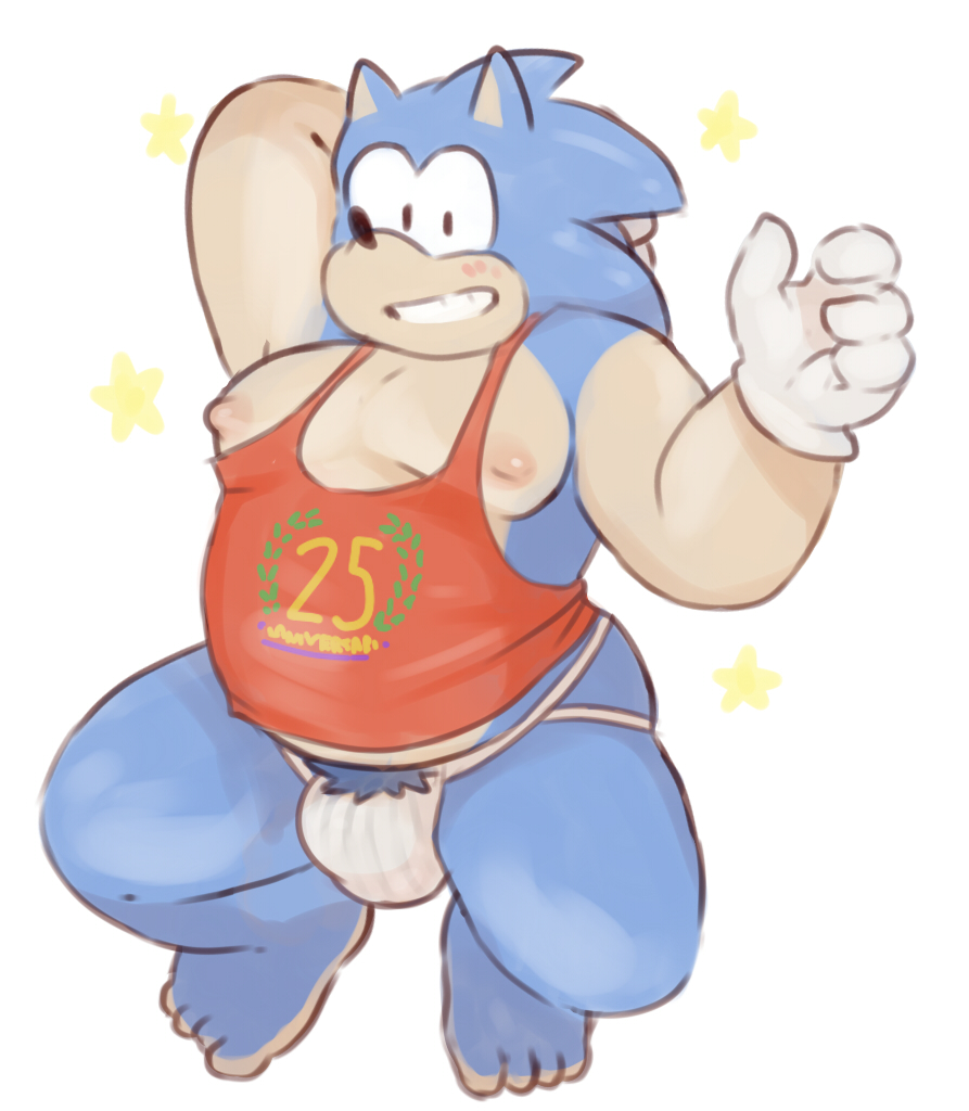 Sonic The Hedgehog (Sega) Rule 34 Image