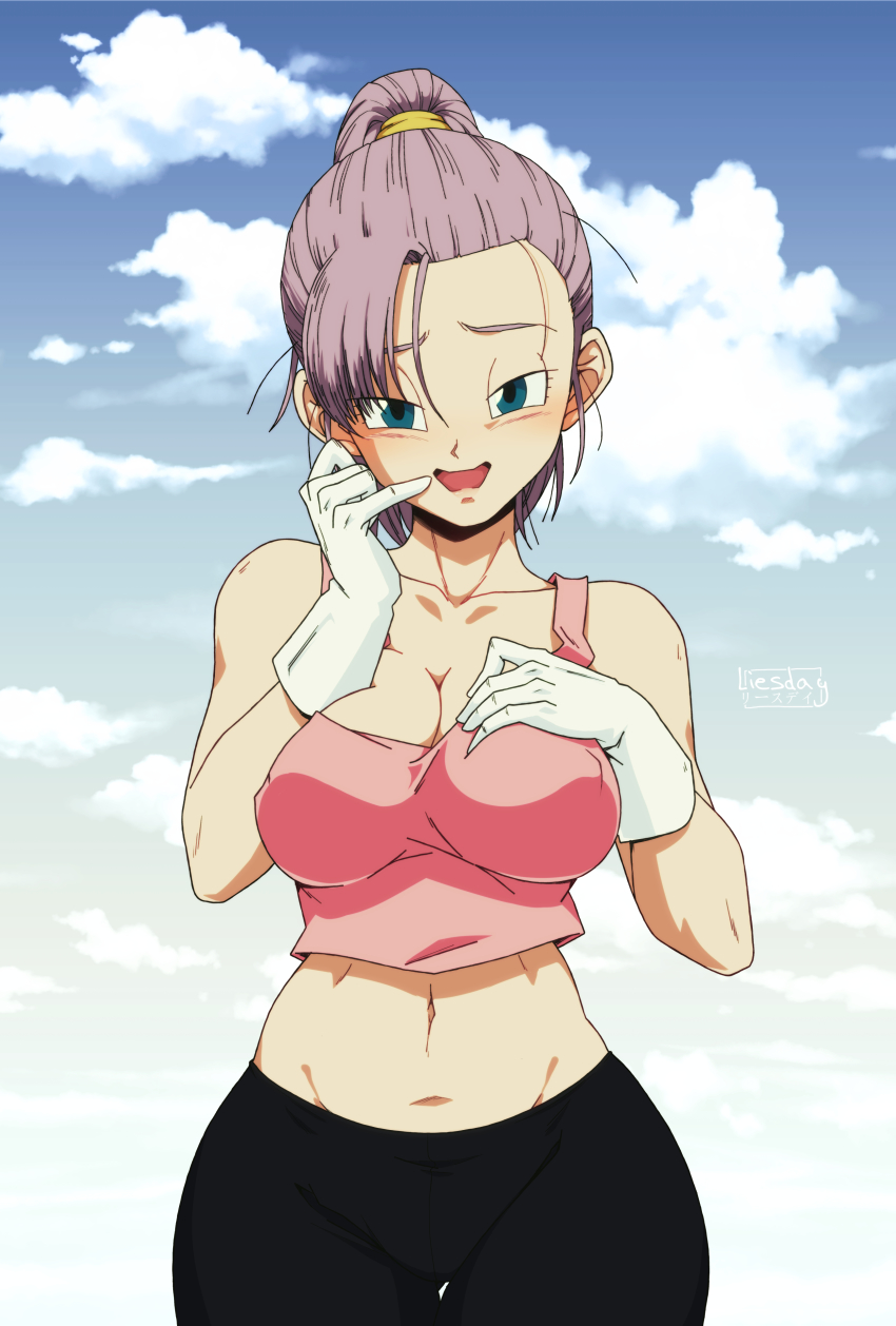 Bra (Dragon Ball) Rule 34 Image