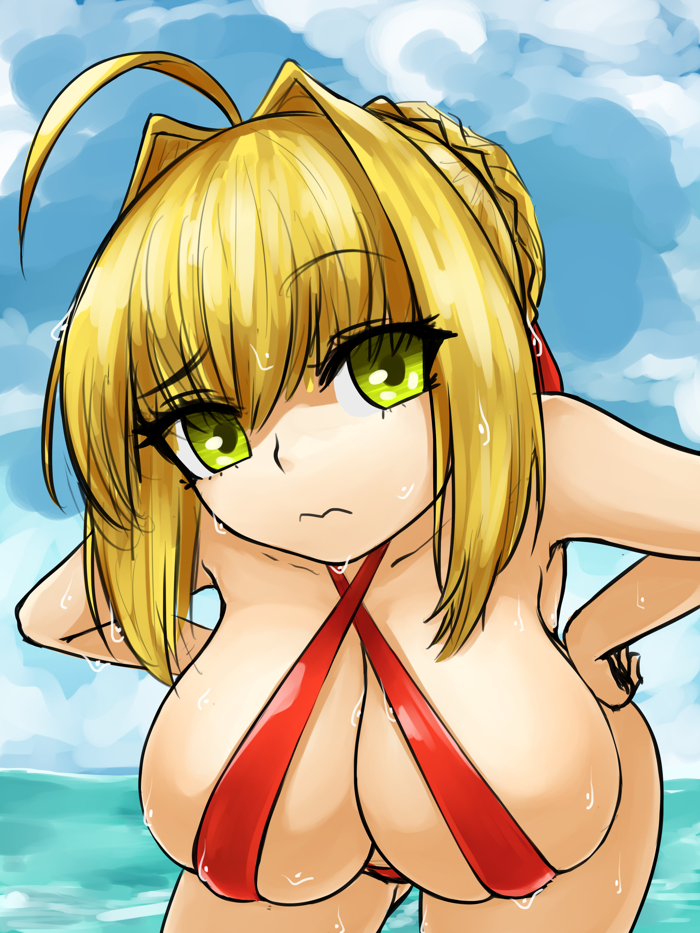 Nero Claudius (Fate) Rule 34 Image