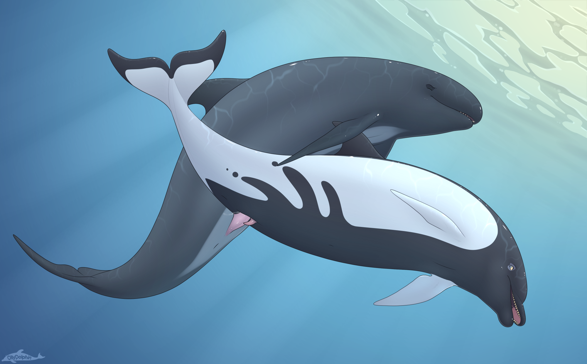 2021 Rule 34 Image