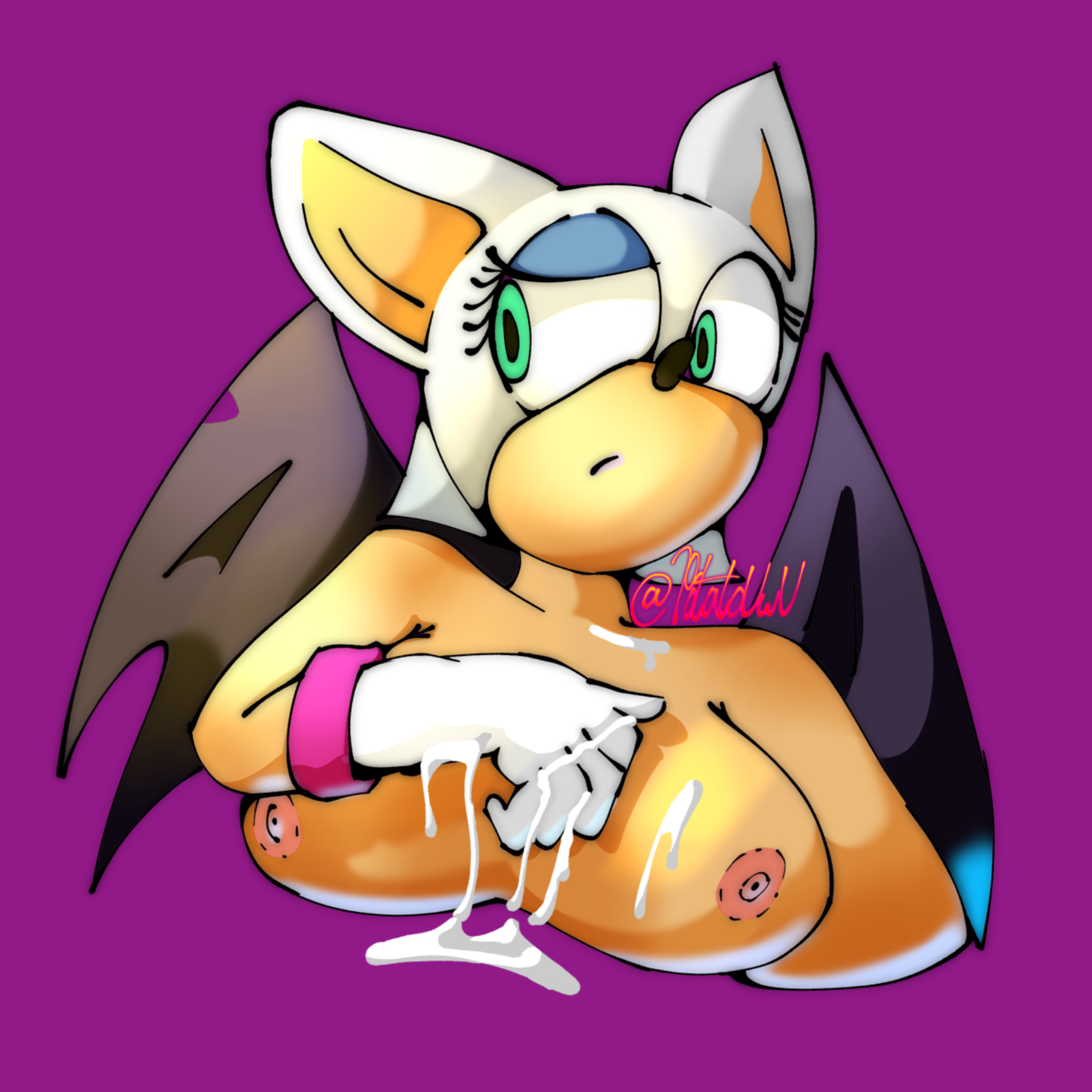 Rouge The Bat (Sonic (Series)) Rule 34 Image