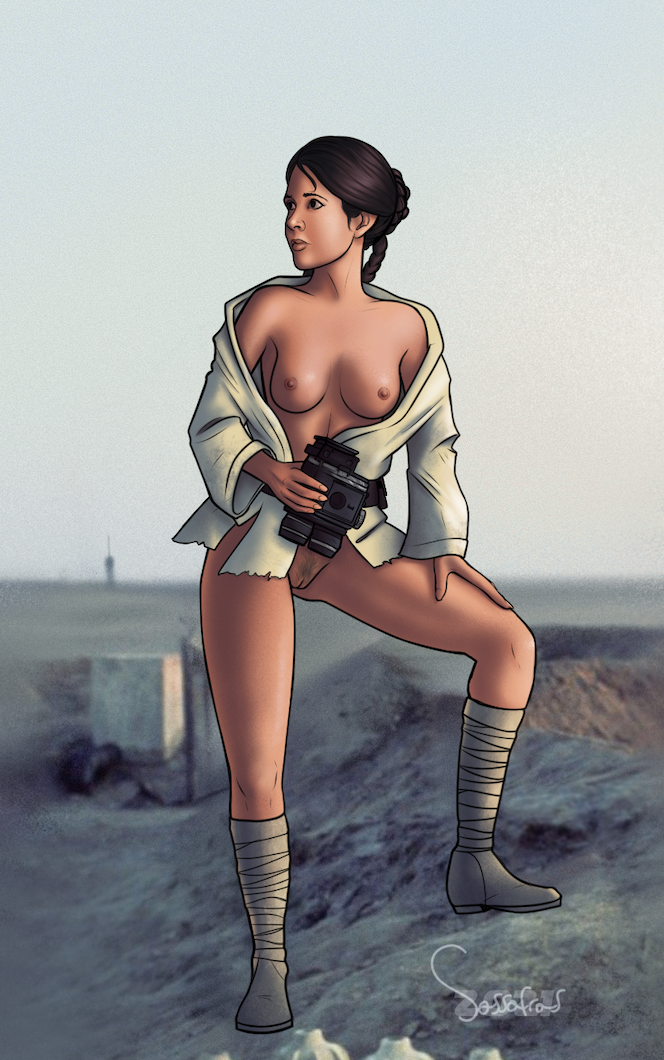 Princess Leia Organa (Star Wars) Rule 34 Image