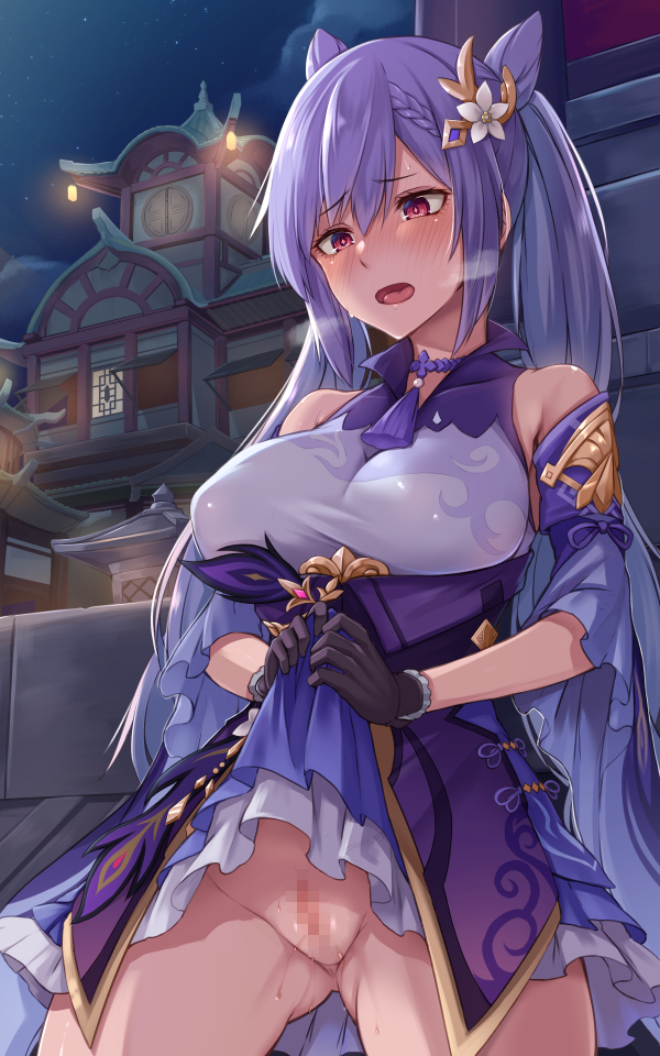Keqing (Genshin Impact) Rule 34 Image
