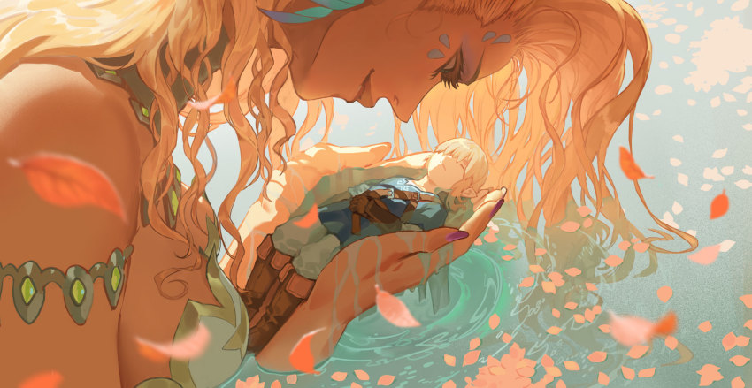 Link (Nintendo) Rule 34 Image