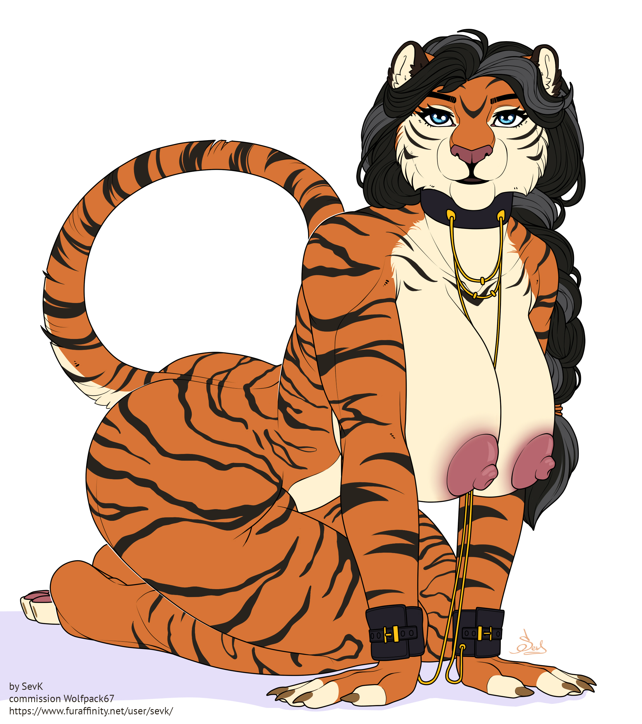 Aife (Wolfpack67) Rule 34 Image